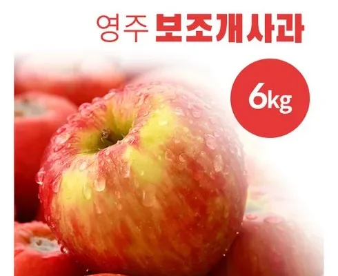 가성비 끝판왕 빛소담 보조개사과 3kg2박스 (과당190g300g 추천상품